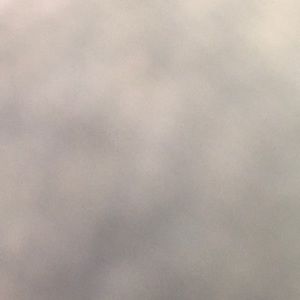 Meet your Posher, Kylee